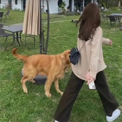 辣手美人